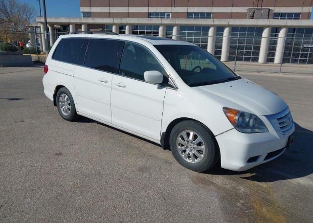 2009 HONDA ODYSSEY EX-L