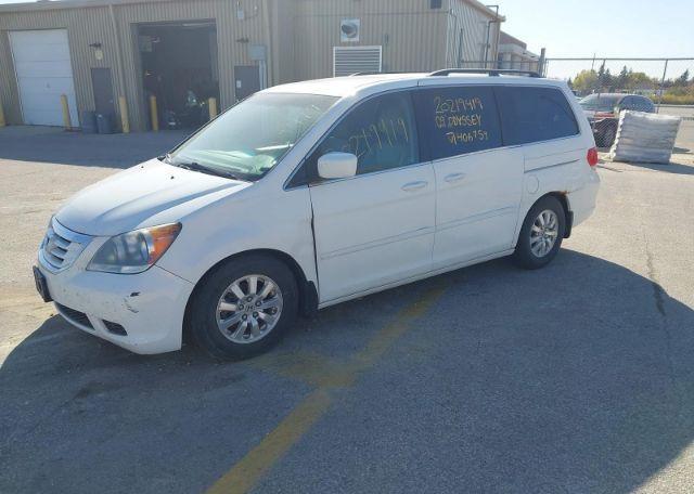 2009 HONDA ODYSSEY EX-L