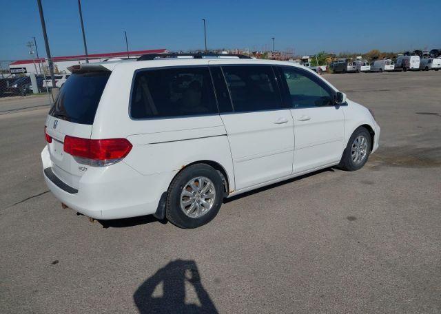 2009 HONDA ODYSSEY EX-L