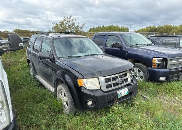2011 FORD ESCAPE XLT