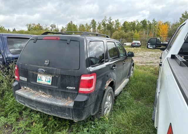 2011 FORD ESCAPE XLT