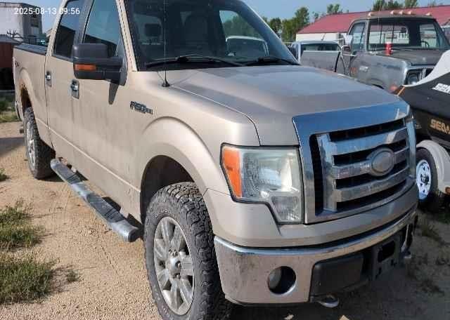 2009 FORD F-150 FX4