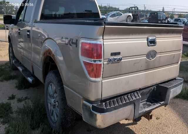 2009 FORD F-150 FX4