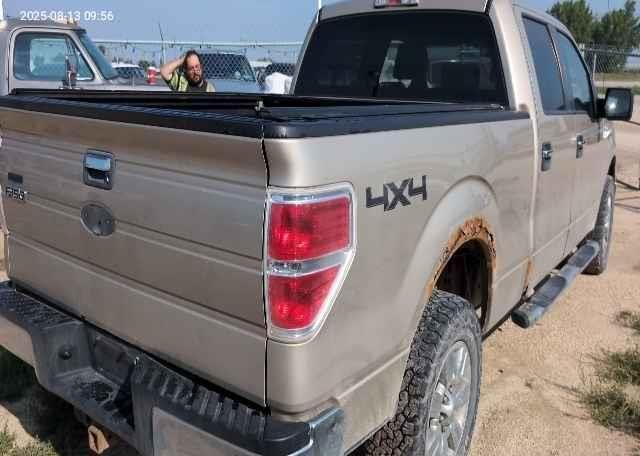 2009 FORD F-150 FX4