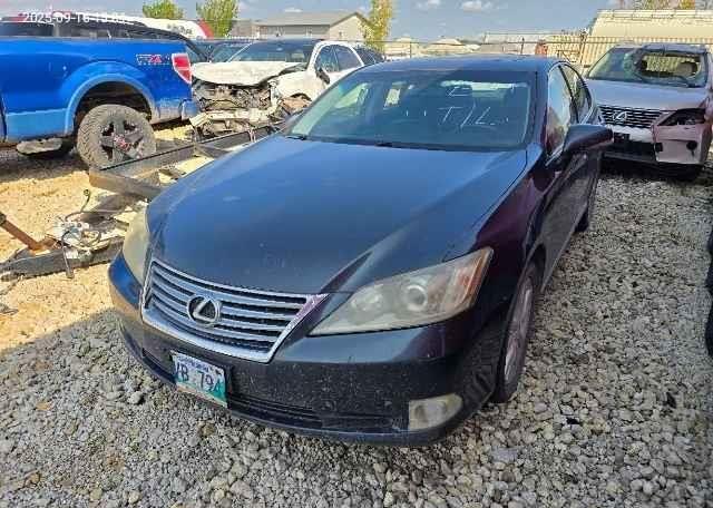 2010 LEXUS ES 350