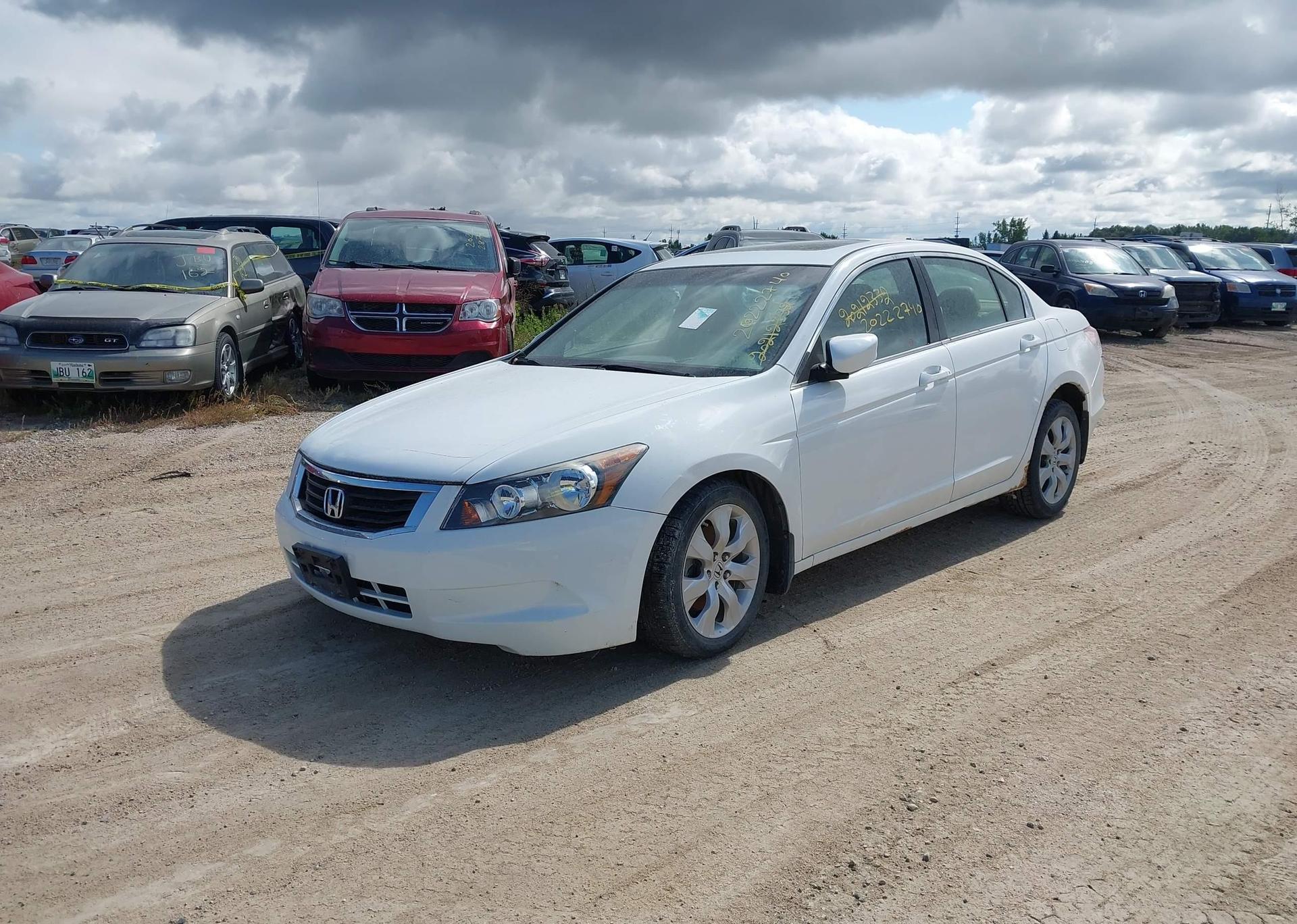 2010 HONDA ACCORD EX-L