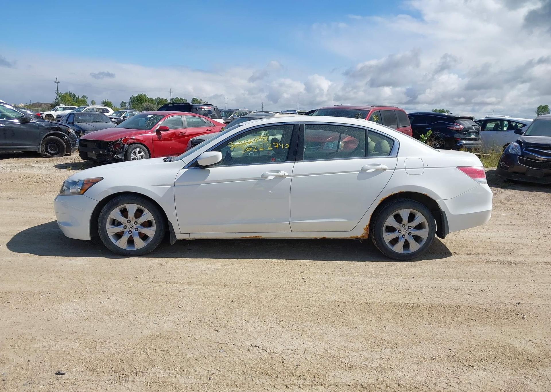 2010 HONDA ACCORD EX-L