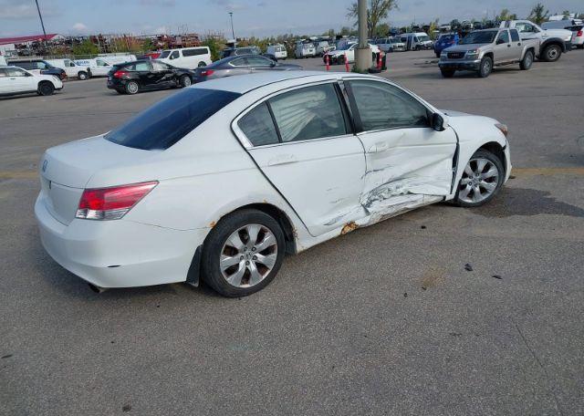 2009 HONDA ACCORD EX