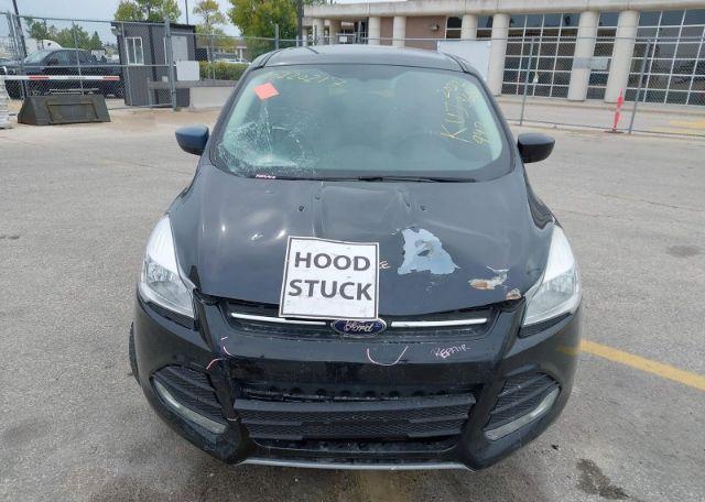 2013 FORD ESCAPE SE
