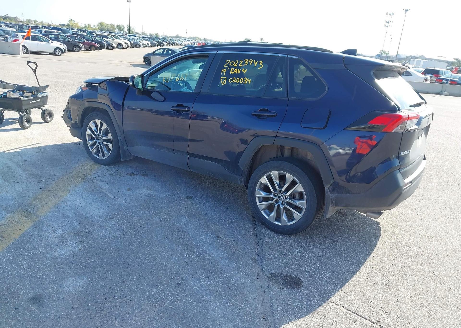 2019 TOYOTA RAV4 XLE
