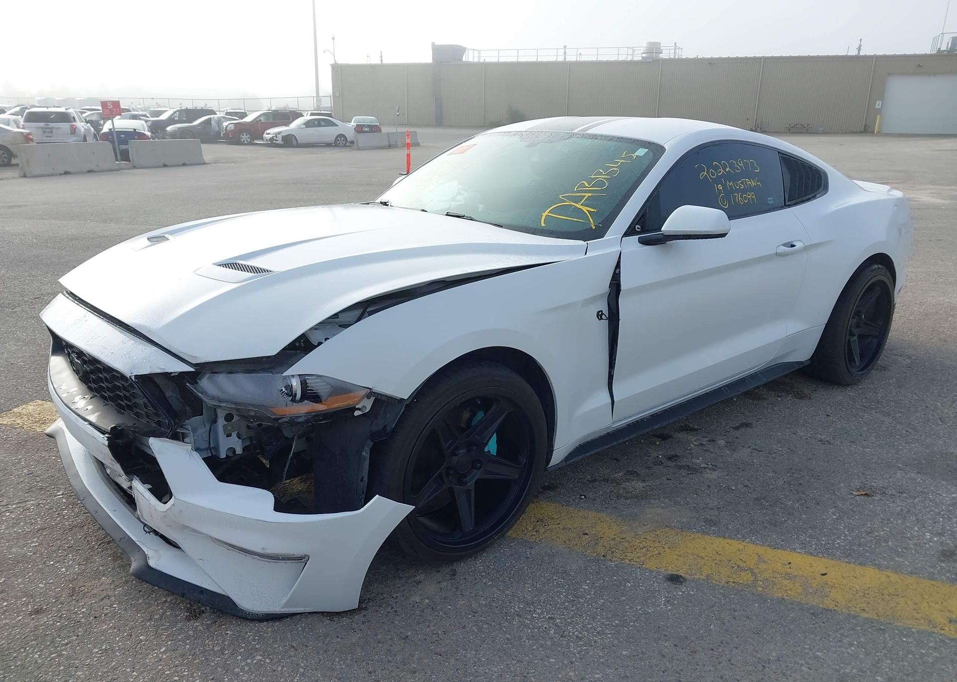 2019 FORD MUSTANG
