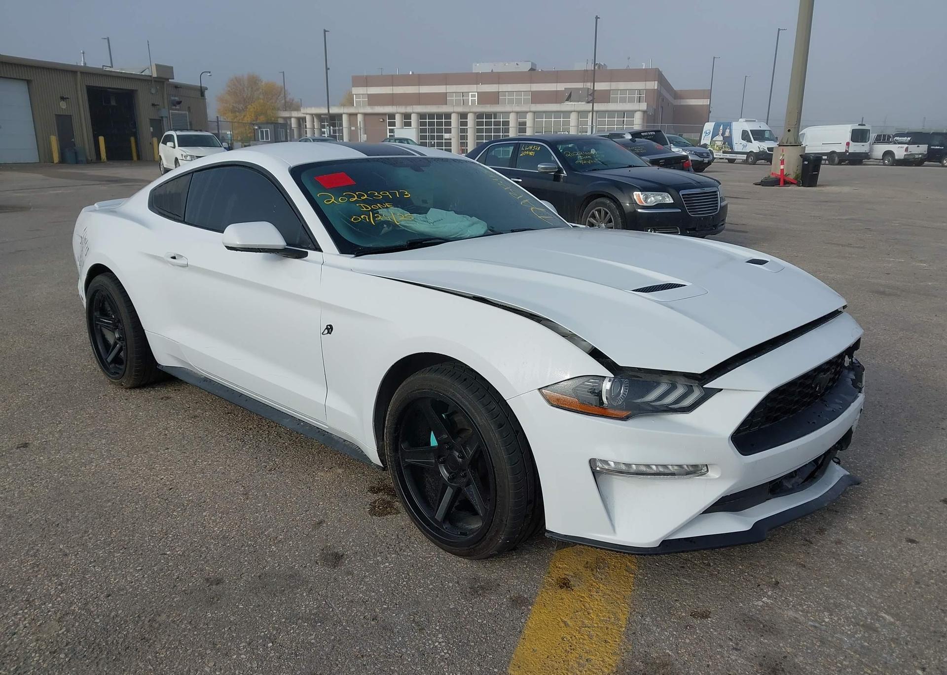 2019 FORD MUSTANG