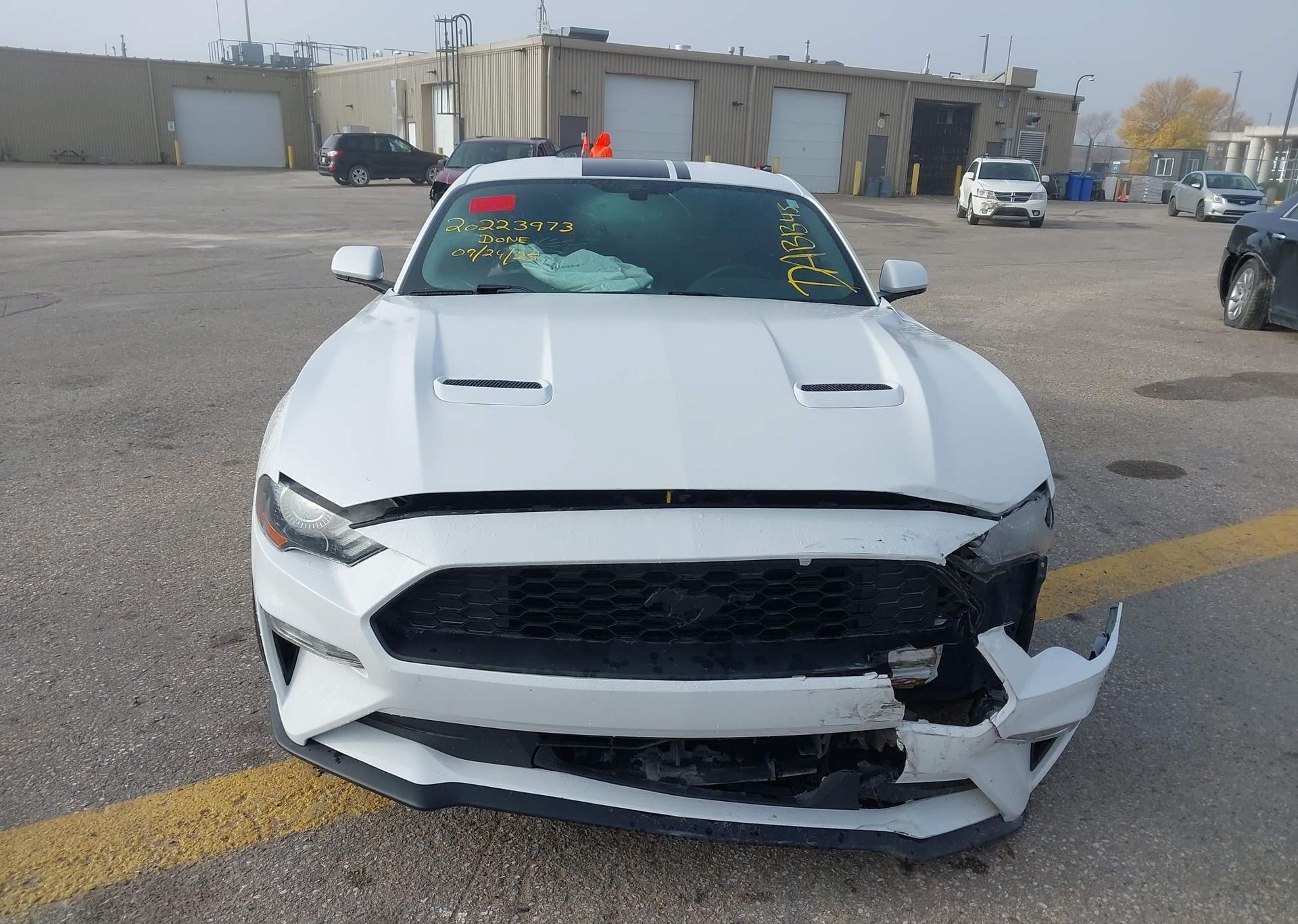 2019 FORD MUSTANG