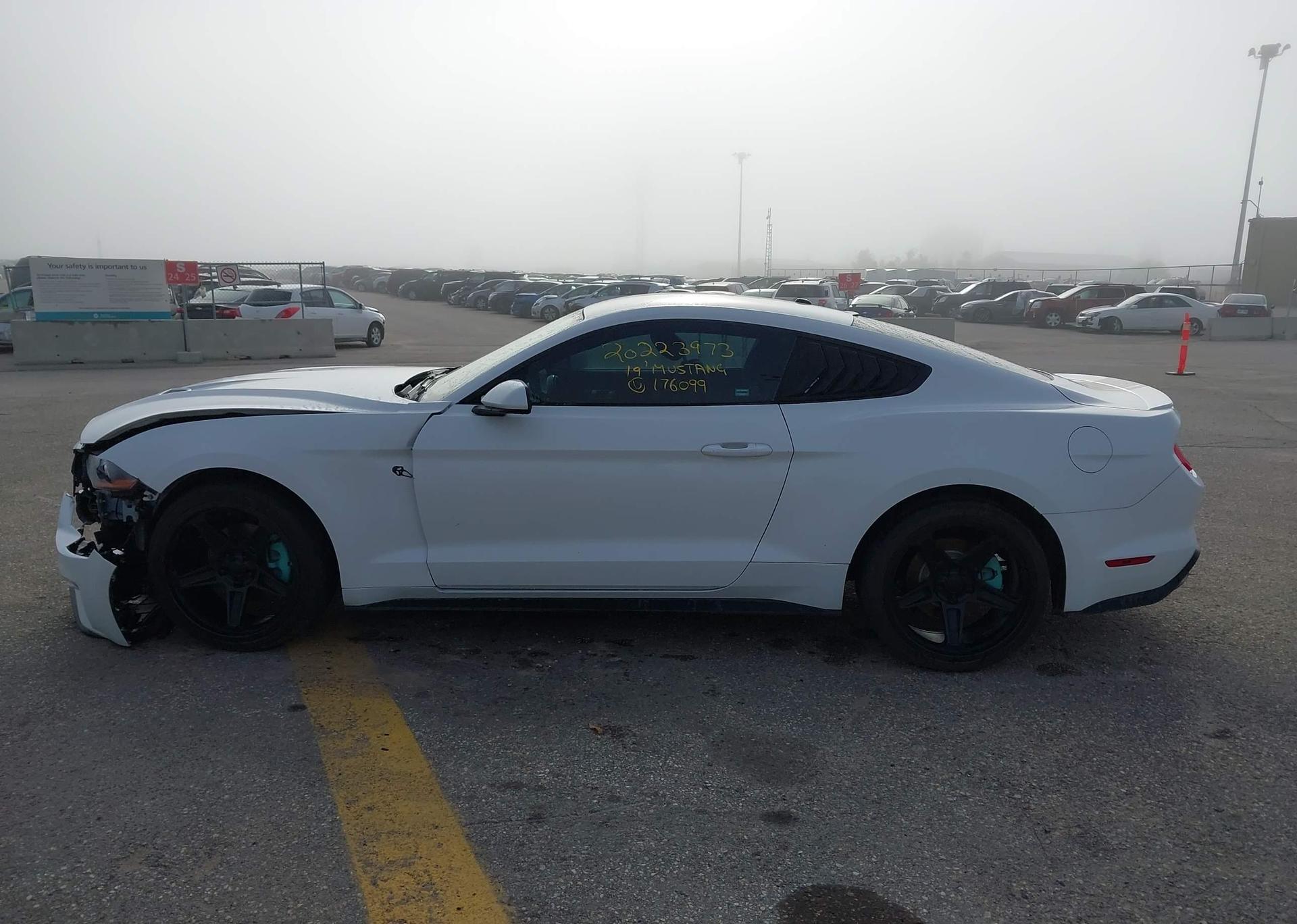 2019 FORD MUSTANG