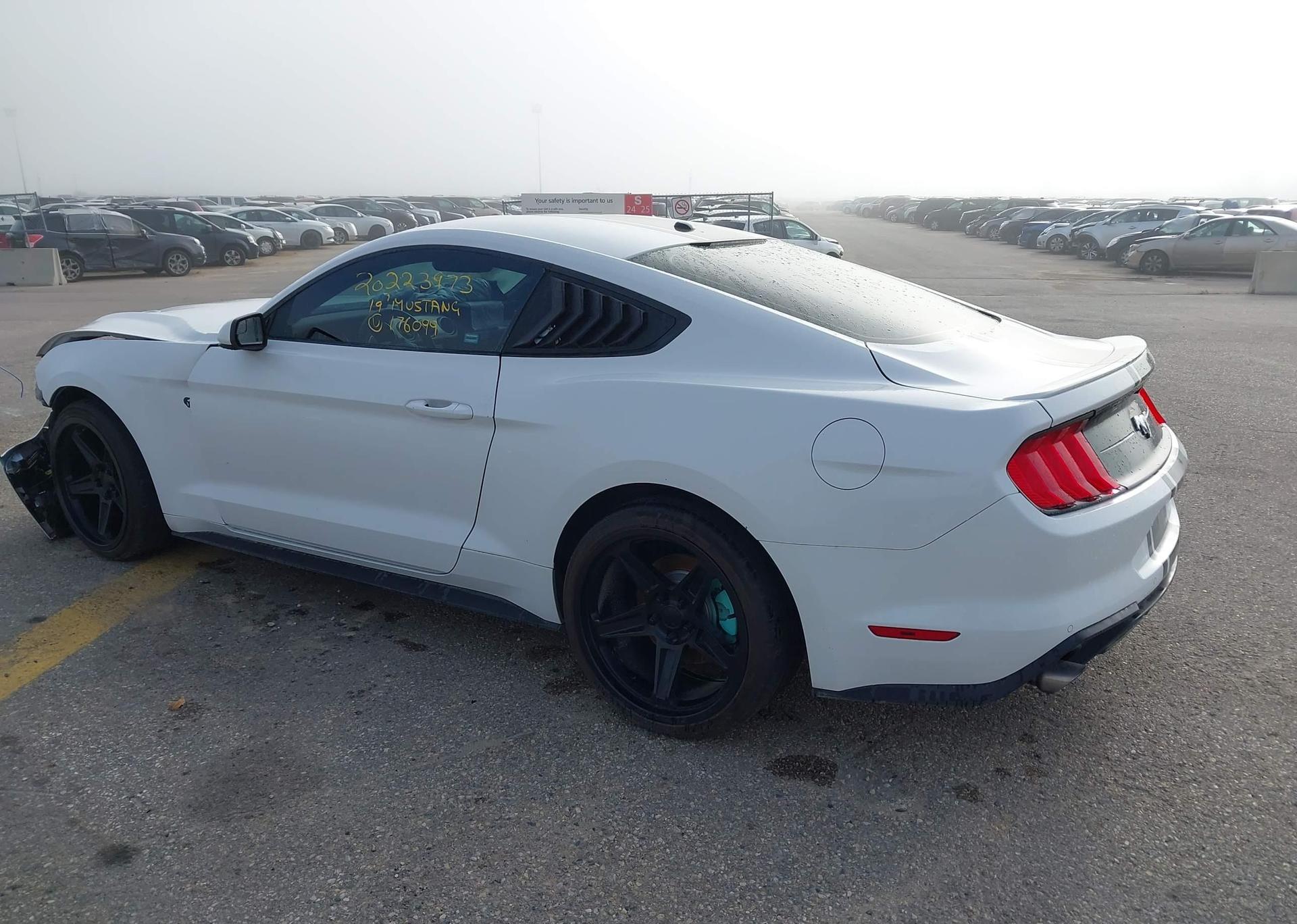 2019 FORD MUSTANG