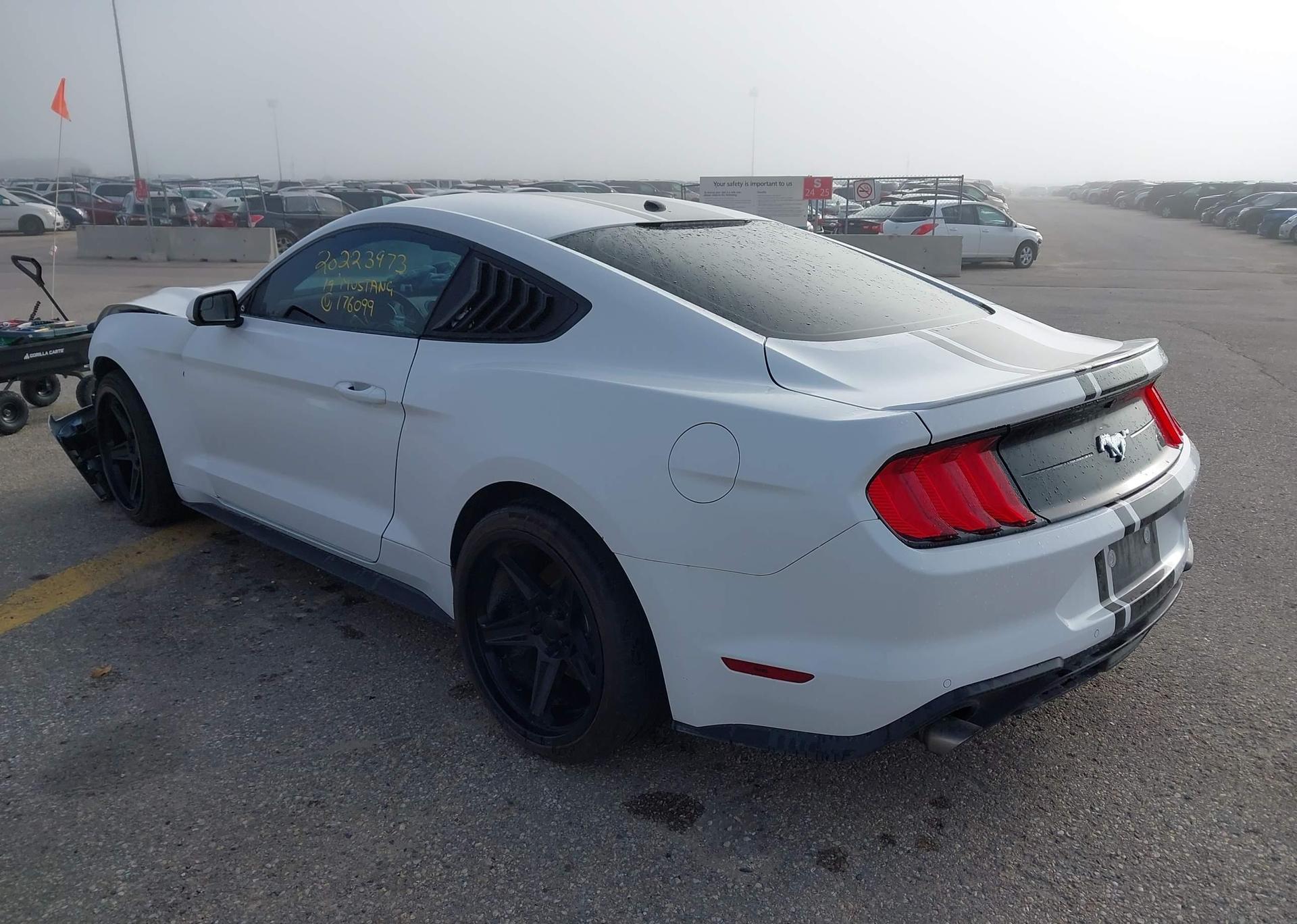2019 FORD MUSTANG