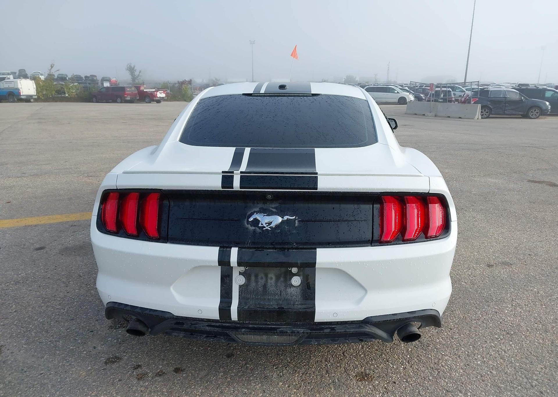 2019 FORD MUSTANG