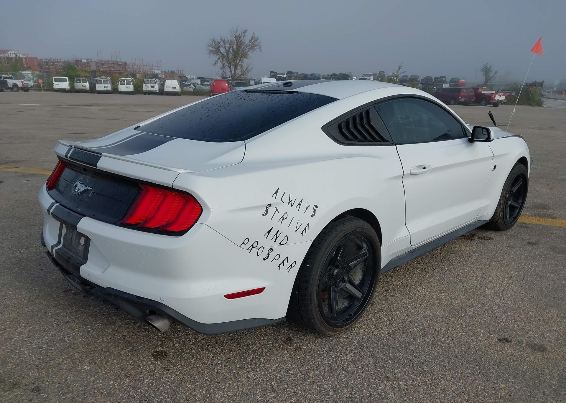 2019 FORD MUSTANG