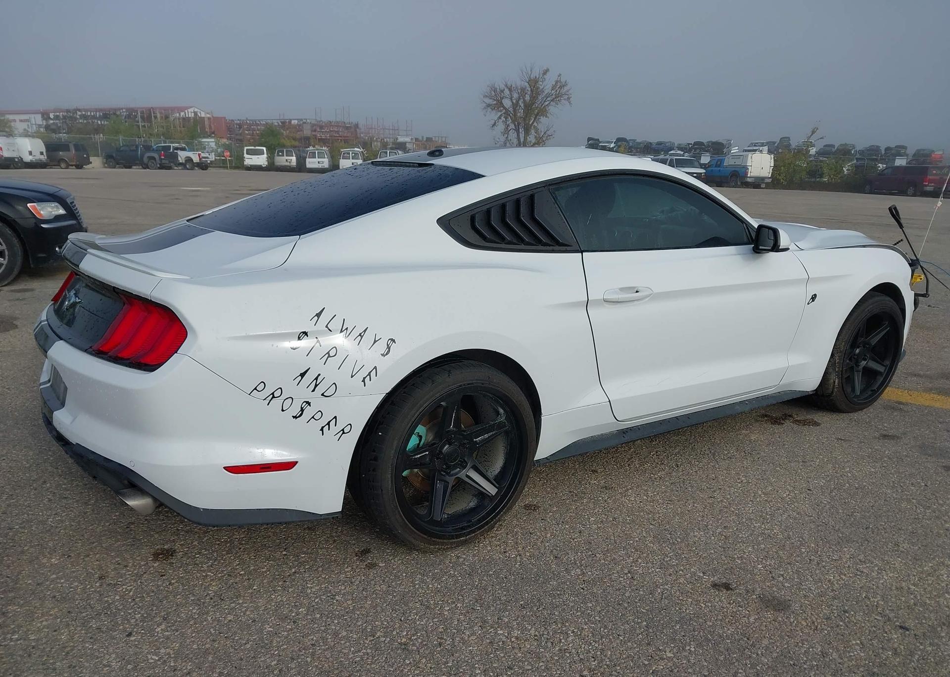 2019 FORD MUSTANG