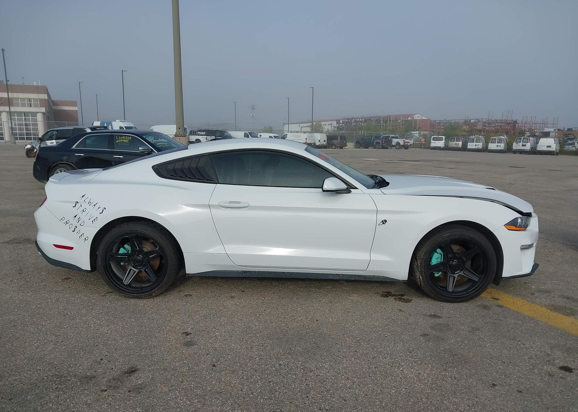 2019 FORD MUSTANG