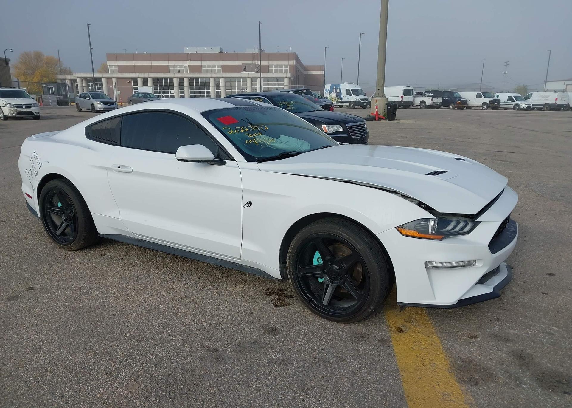 2019 FORD MUSTANG