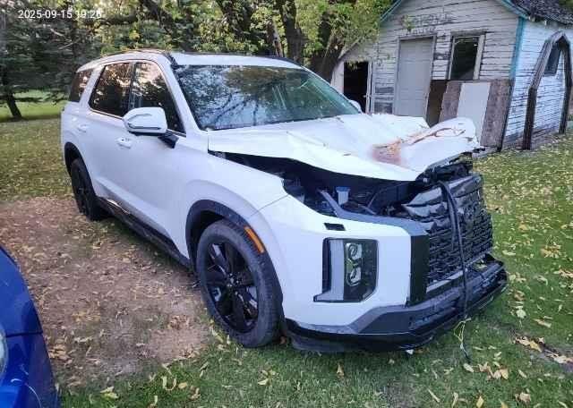 2025 HYUNDAI PALISADE URBAN