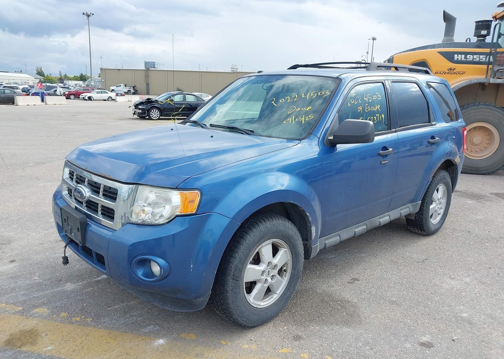 2009 FORD ESCAPE XLT