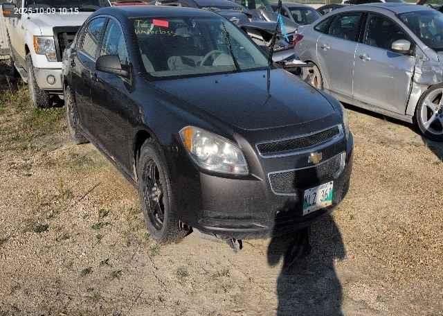 2010 CHEVROLET MALIBU LS