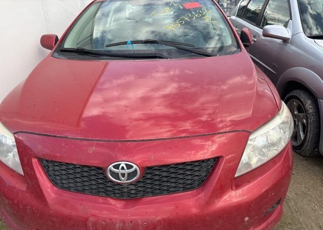 2010 TOYOTA COROLLA