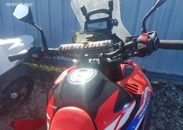 2024 HONDA CRF300LA RALLY