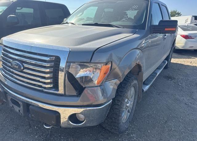 2011 FORD F150 XLT SUPERCREW