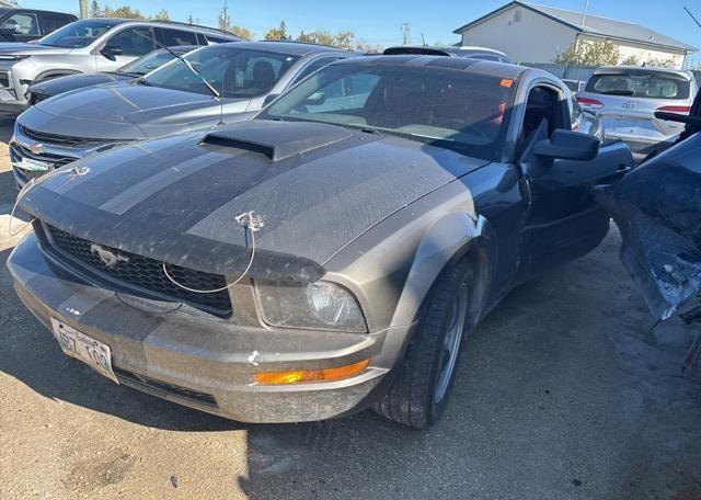2005 FORD MUSTANG