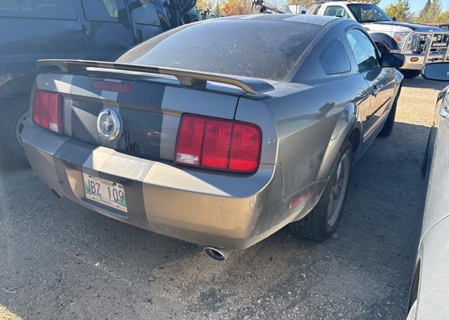 2005 FORD MUSTANG