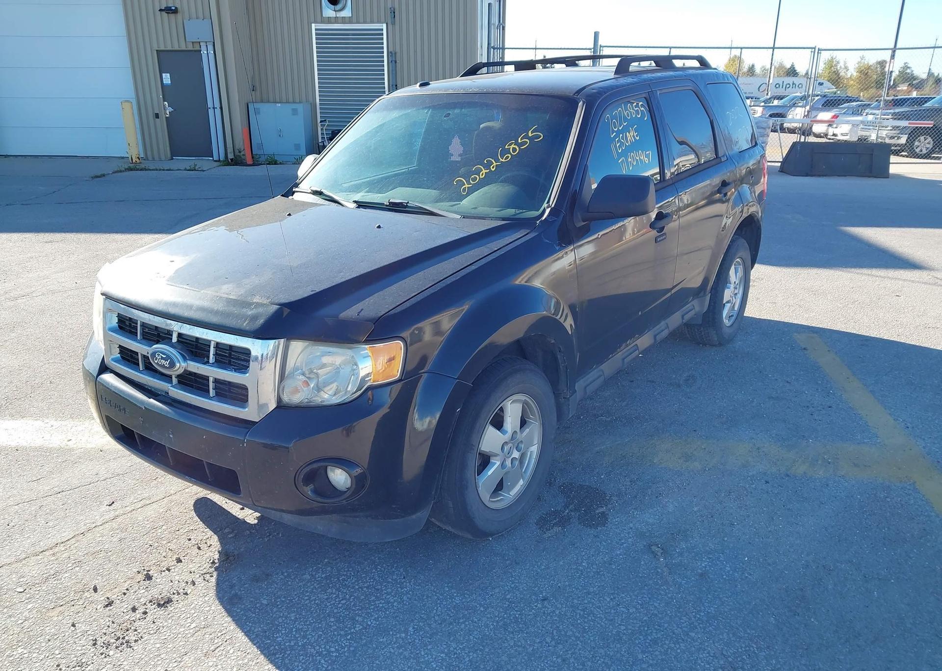 2011 FORD ESCAPE XLT
