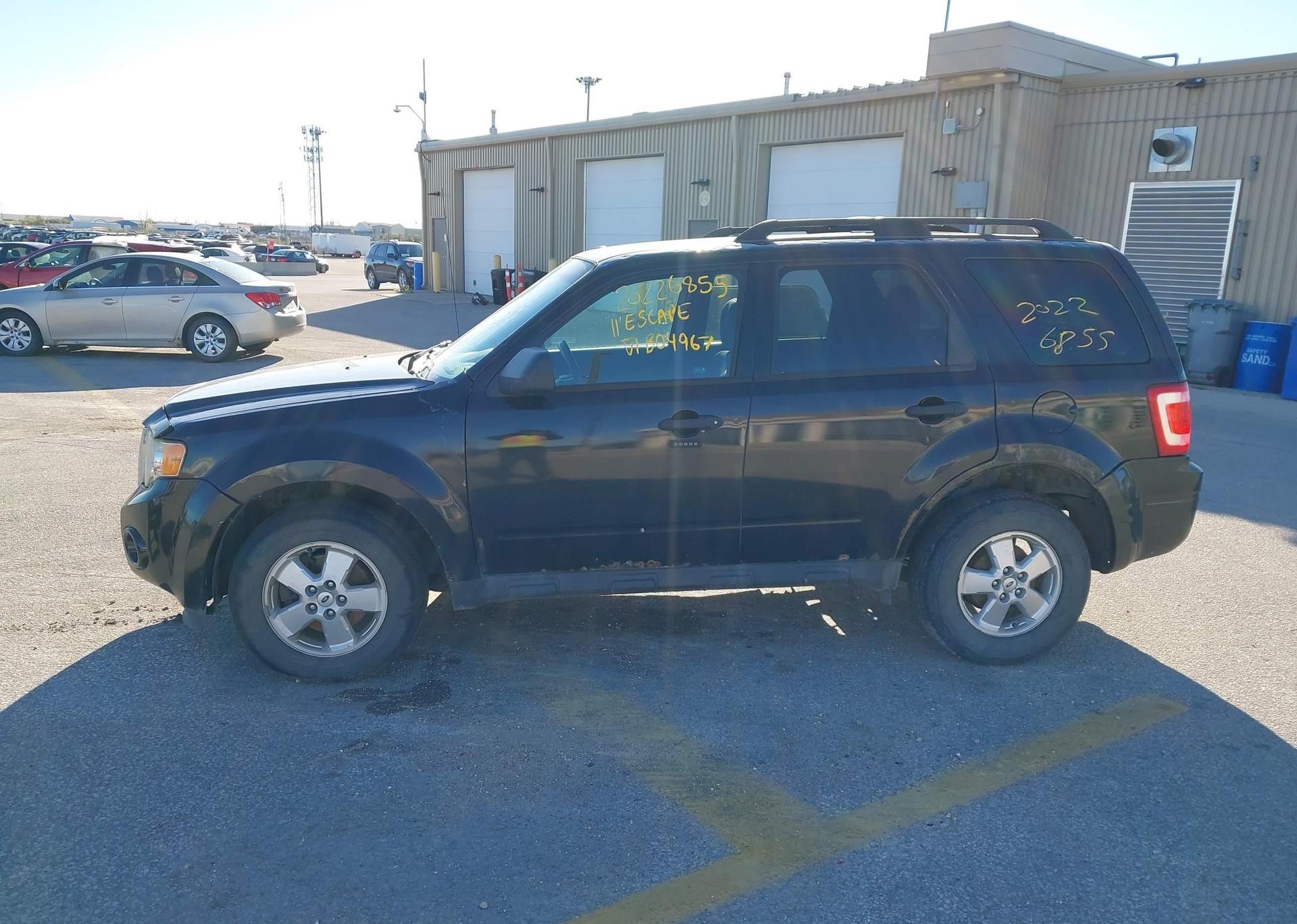 2011 FORD ESCAPE XLT