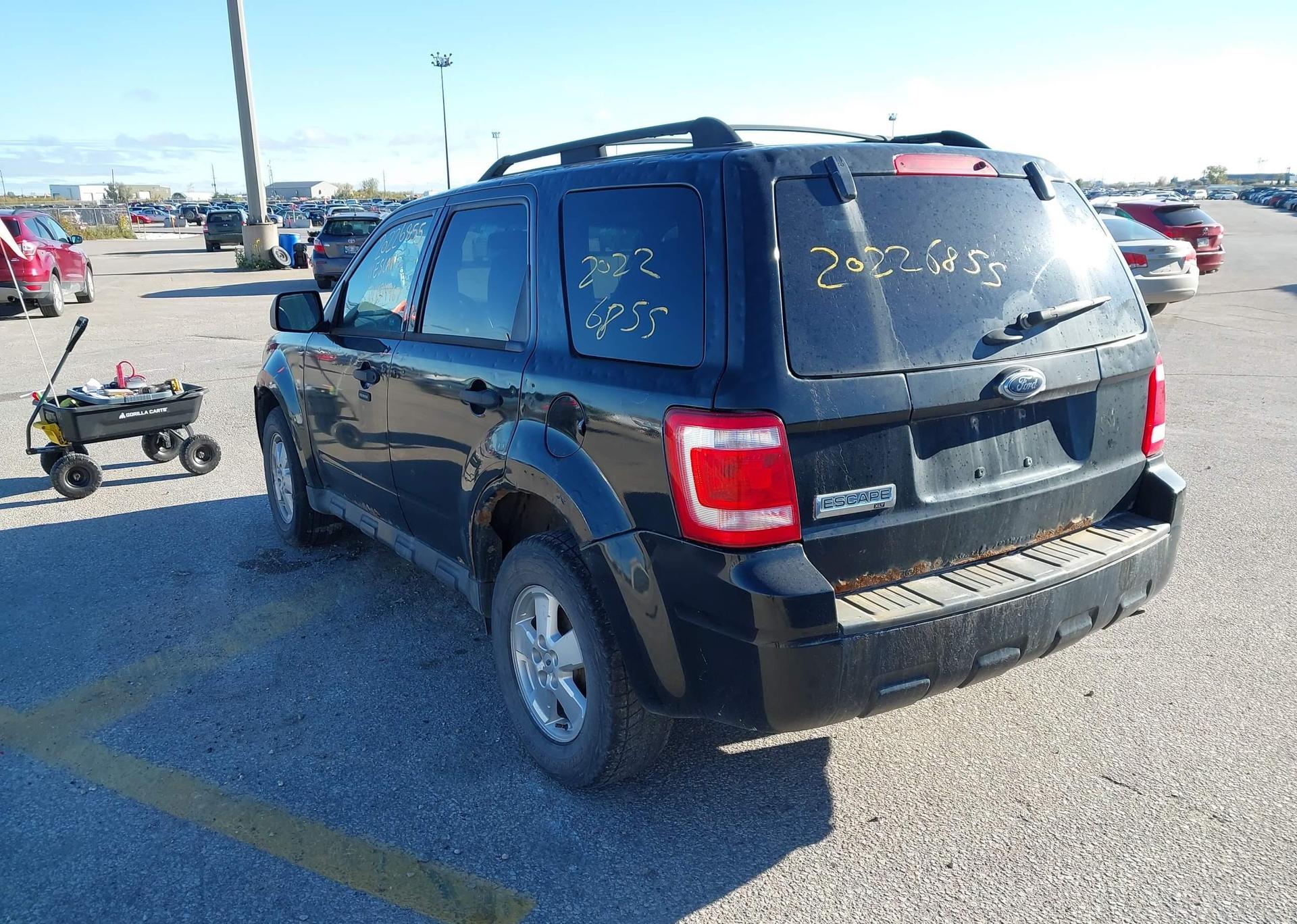 2011 FORD ESCAPE XLT