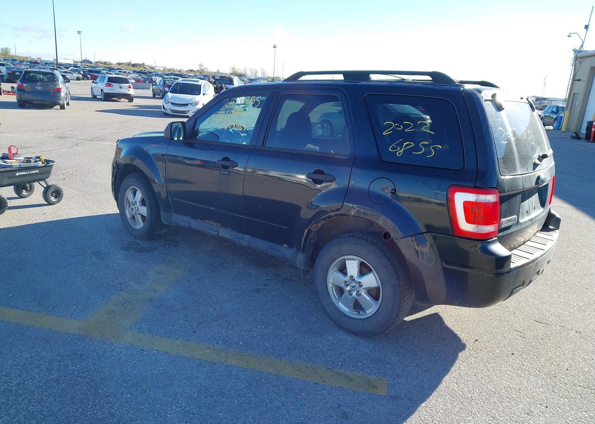 2011 FORD ESCAPE XLT