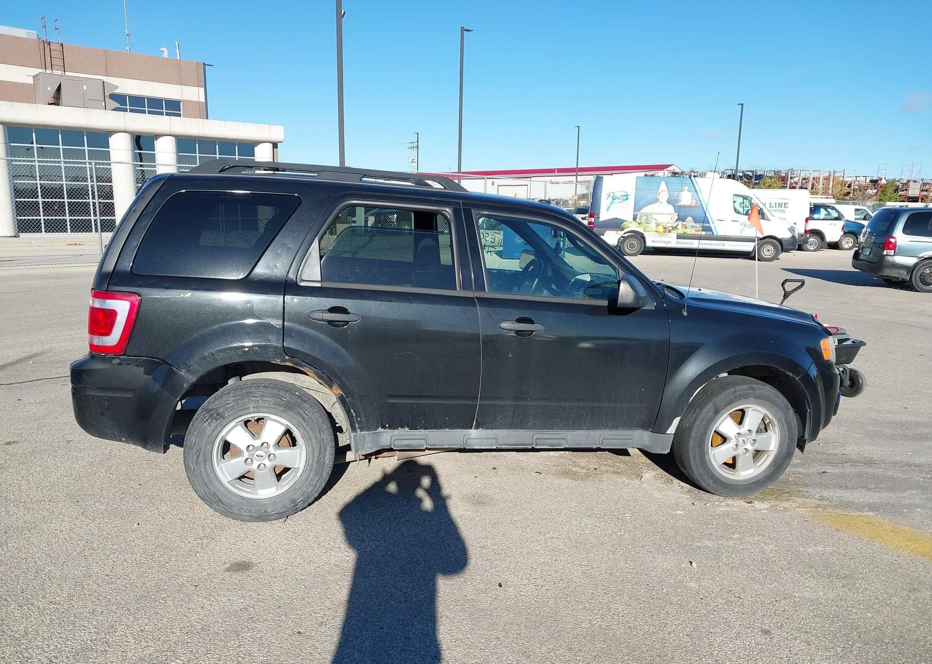 2011 FORD ESCAPE XLT