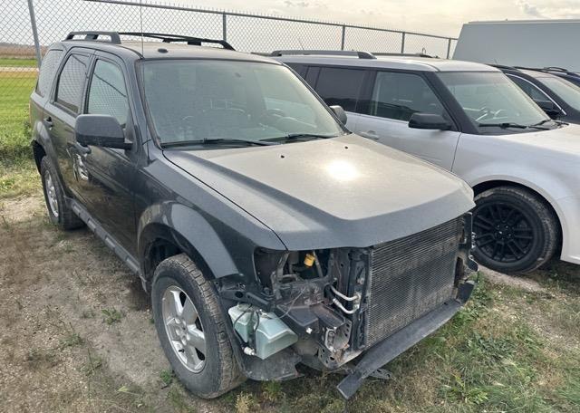 2009 FORD ESCAPE XLT