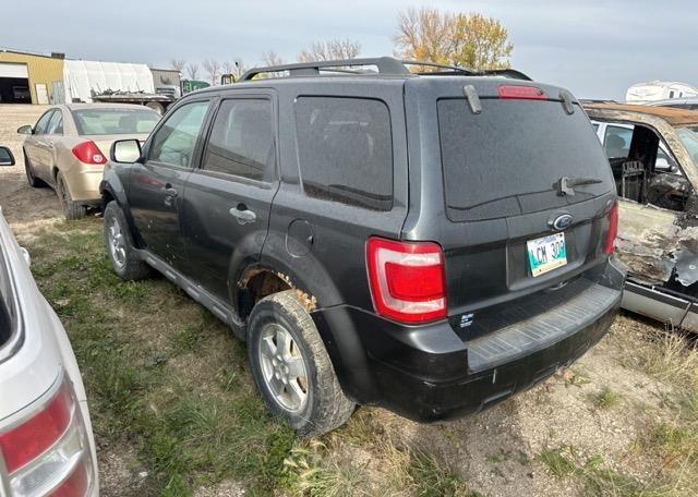 2009 FORD ESCAPE XLT