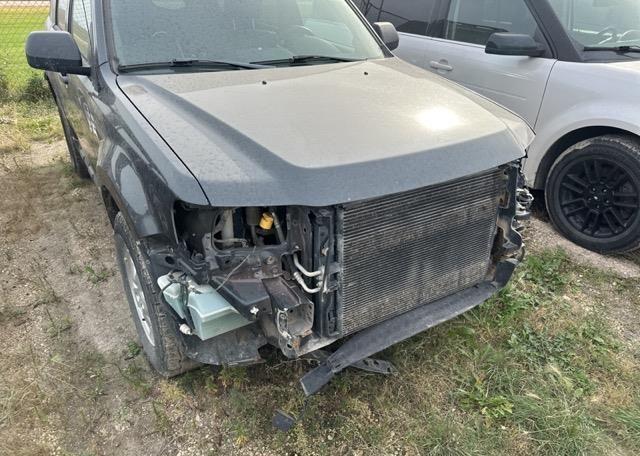 2009 FORD ESCAPE XLT