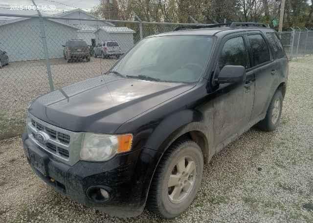 2010 FORD ESCAPE XLT AUTOMATIC