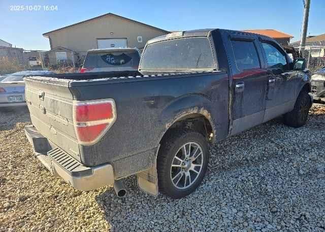 2011 FORD F150 XLT SUPERCREW