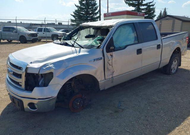 2013 FORD F150 SUPERCREW