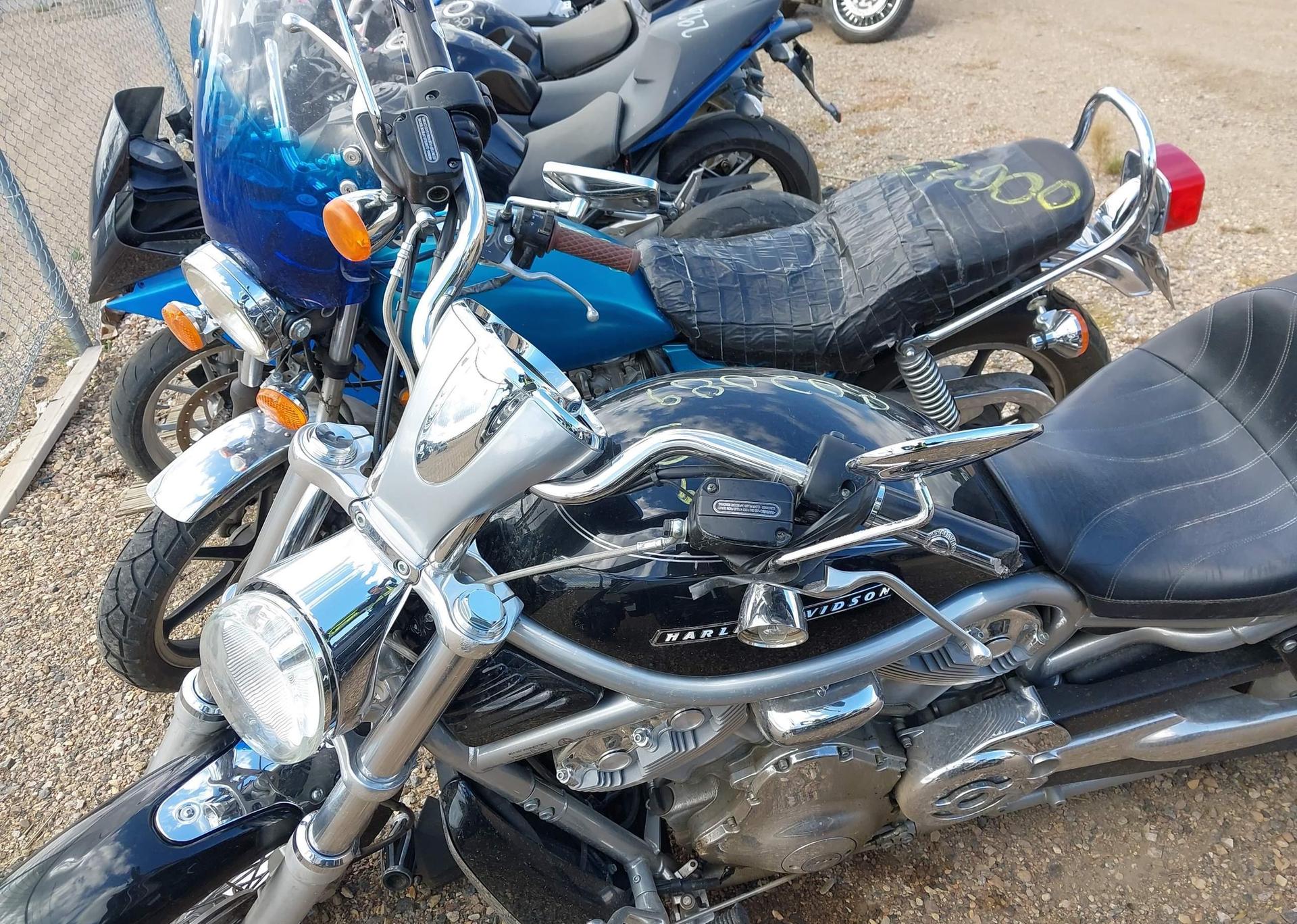 2009 HARLEY-DAVIDSON VRSCAW