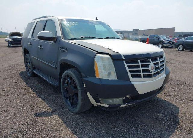 2007 CADILLAC ESCALADE LUXURY