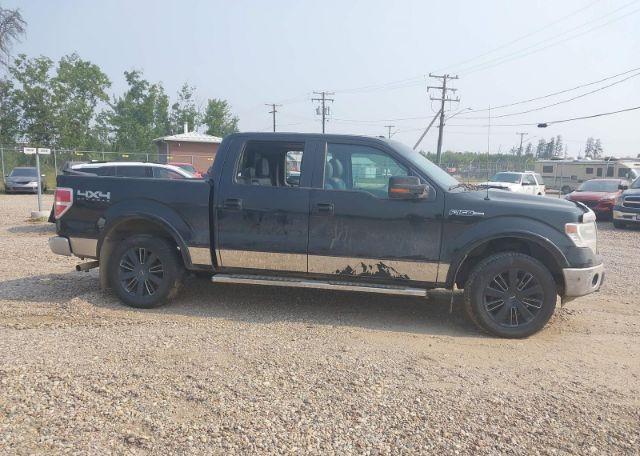 2013 FORD F150 SUPERCREW