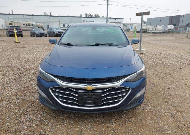 2019 CHEVROLET MALIBU LT