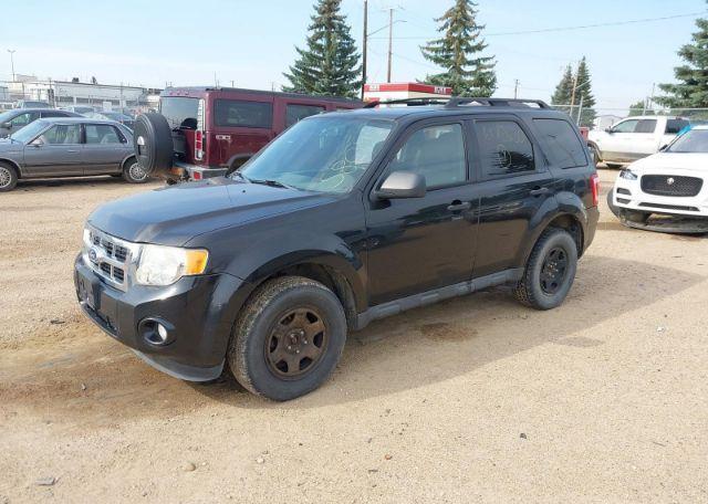 2011 FORD ESCAPE XLT