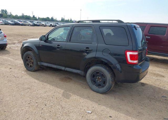 2011 FORD ESCAPE XLT